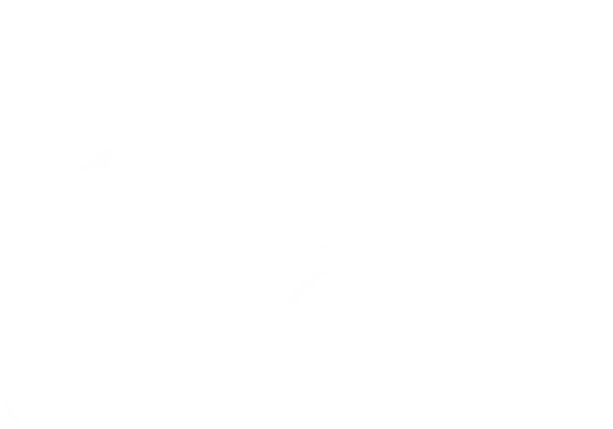 Логотип ФК Зенит — клиент UST